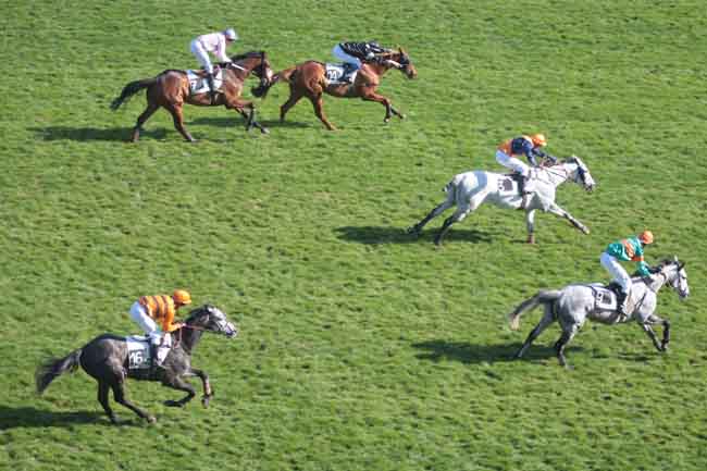Arrivée quinté pmu PRIX PREDICATEUR à AUTEUIL