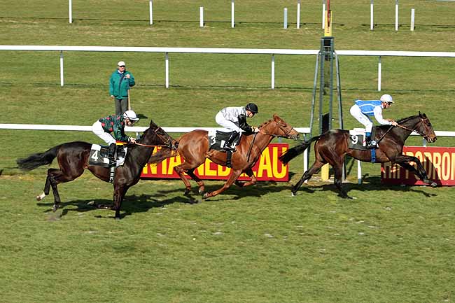 Arrivée quinté pmu PRIX DU BOIS DE VALENCE à FONTAINEBLEAU