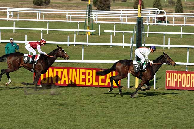 Arrivée quinté pmu PRIX DE LA FALUERE à FONTAINEBLEAU