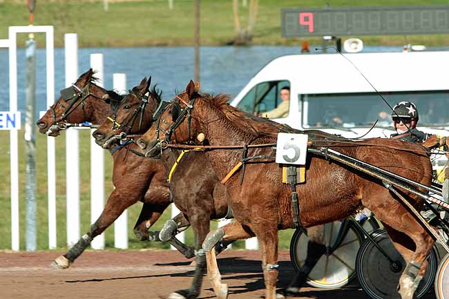Arrivée quinté pmu GRAND PRIX PARIS-TURF à AGEN LE PASSAGE