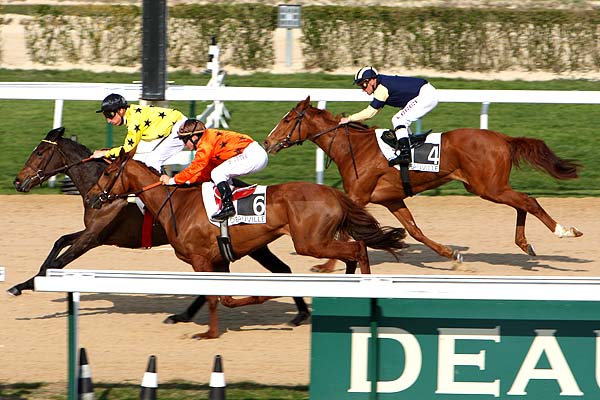 Arrivée quinté pmu PRIX DE CAMPNEUSEVILLE à DEAUVILLE