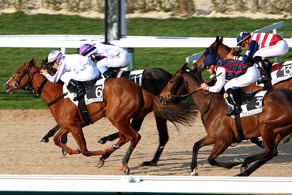 Arrivée quinté pmu PRIX DE L'AUTRE COTE DE L'EAU à DEAUVILLE
