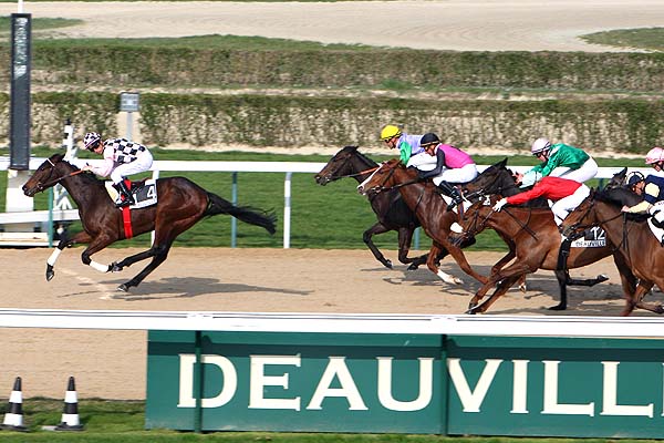 Arrivée quinté pmu ARGENTELLES à DEAUVILLE