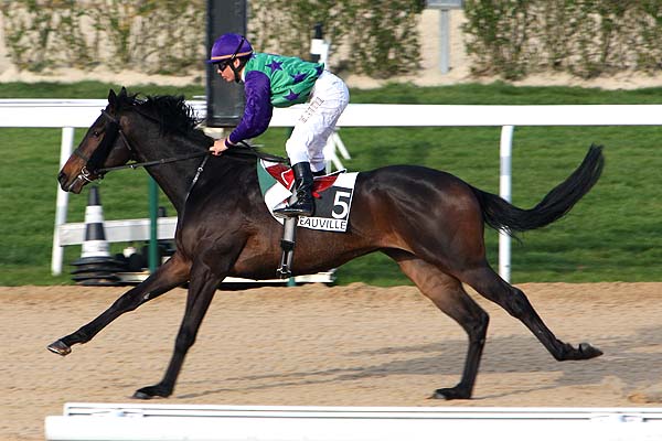 Arrivée quinté pmu PRIX DE LA VARENNE à DEAUVILLE