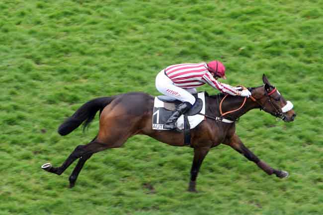 Arrivée quinté pmu PRIX SAMARITAIN à AUTEUIL