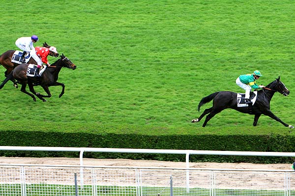 Arrivée quinté pmu PRIX LA CAMARGO à SAINT CLOUD