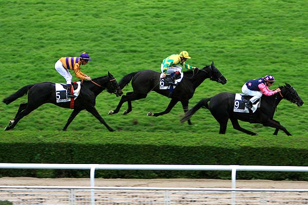 Arrivée quinté pmu PRIX DU JARDIN DE L'AVRE à SAINT CLOUD