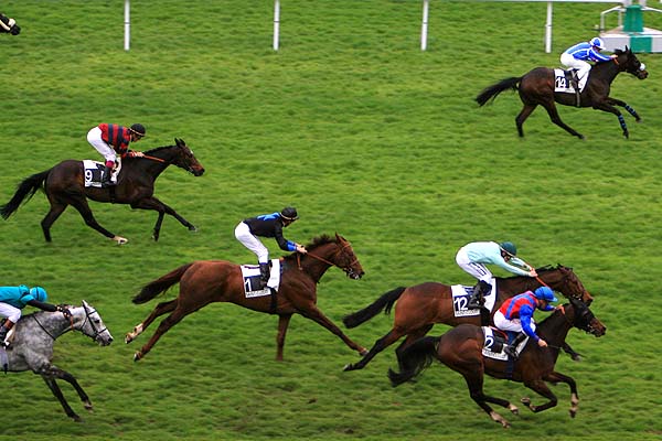 Arrivée quinté pmu PRIX DU PERIGORD à SAINT CLOUD