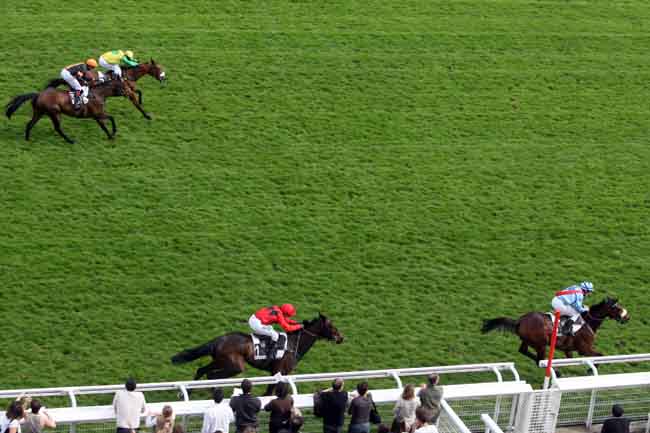 Arrivée quinté pmu PRIX HYPOTHESE à AUTEUIL
