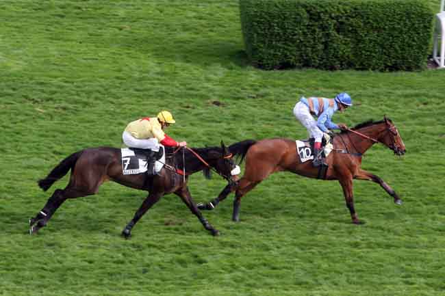 Arrivée quinté pmu PRIX DE SAINT-MAIXENT à AUTEUIL
