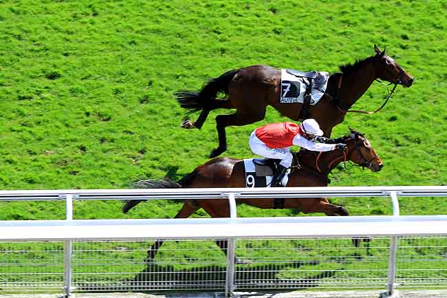 Arrivée quinté pmu PRIX GRANDAK à AUTEUIL