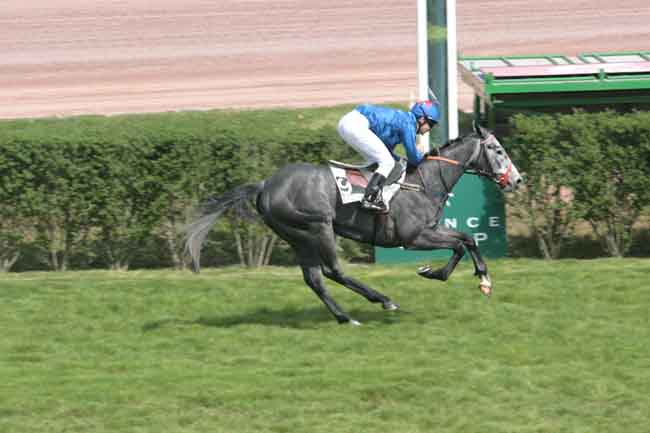 Arrivée quinté pmu PRIX DE BETHUNE à ENGHIEN