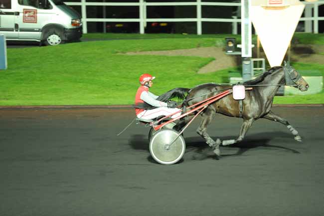 Arrivée quinté pmu PRIX PROSERPINA à PARIS-VINCENNES