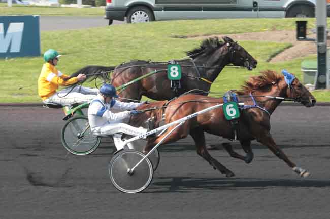 Arrivée quinté pmu PRIX DE CHELLES à PARIS-VINCENNES