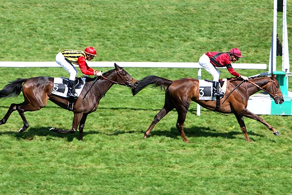 Arrivée quinté pmu PRIX PENELOPE à SAINT-CLOUD