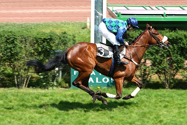 Arrivée quinté pmu PRIX DES CEVENNES à ENGHIEN