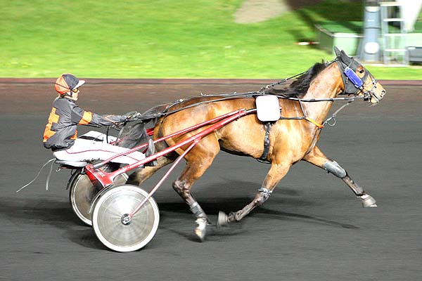 Arrivée quinté pmu PRIX PALMA à PARIS-VINCENNES