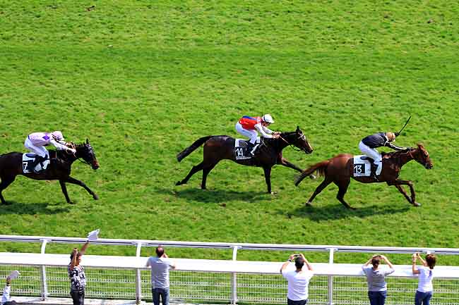 Arrivée quinté pmu PRIX GASTON BRANERE à AUTEUIL