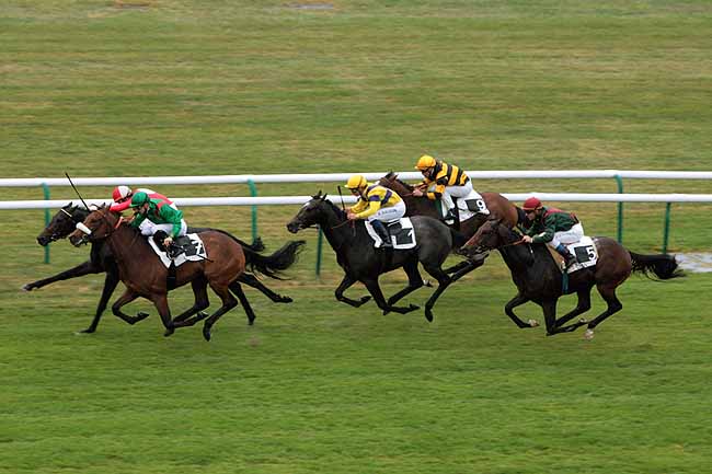 Arrivée quinté pmu PRIX DU BOIS RENARD à CHANTILLY