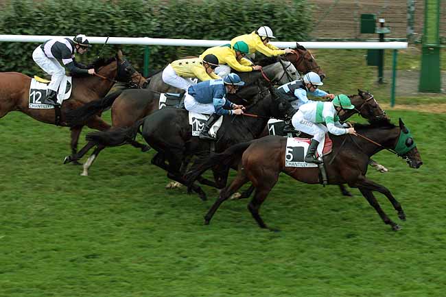 Arrivée quinté pmu PRIX DU PETIT PARC à CHANTILLY