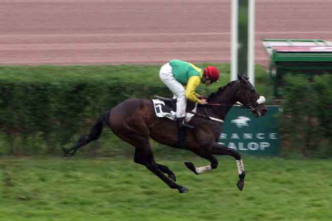 Arrivée quinté pmu PRIX DE SOSPEL à ENGHIEN