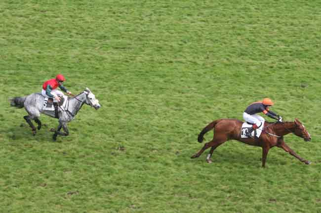 Arrivée quinté pmu PRIX VALMAJOUR à AUTEUIL