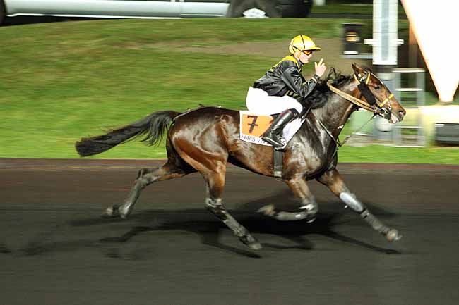 Arrivée quinté pmu PRIX ANNA à PARIS-VINCENNES