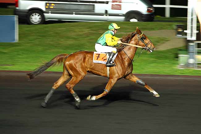 Arrivée quinté pmu PRIX HENRI CHRETIEN à PARIS-VINCENNES
