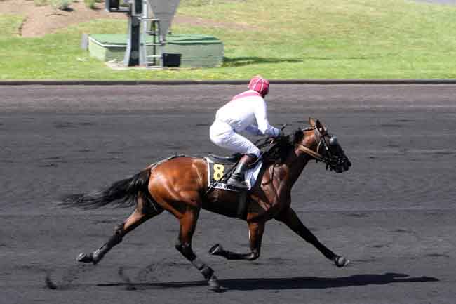 Arrivée quinté pmu PRIX JEAN GAUVREAU à PARIS-VINCENNES