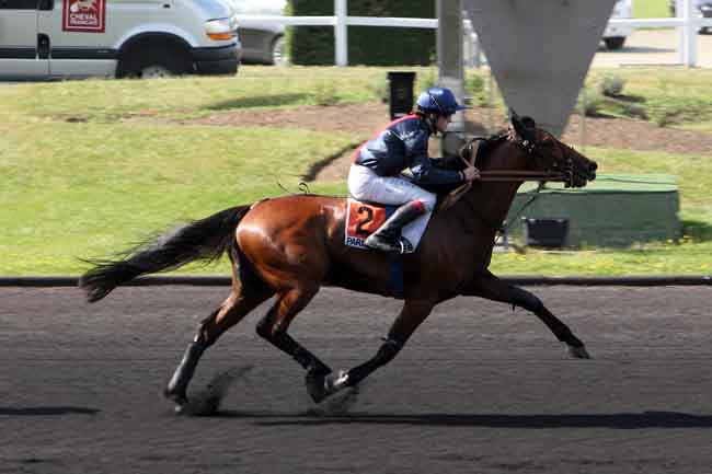 Arrivée quinté pmu PRIX D'ARPAJON à PARIS-VINCENNES