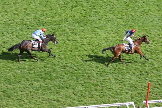 Arrivée quinté pmu PRIX AMADOU à AUTEUIL