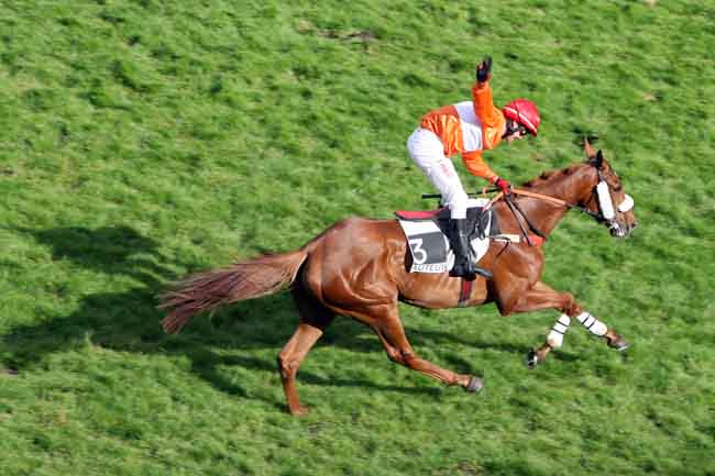 Arrivée quinté pmu PRIX EX VOTO à AUTEUIL