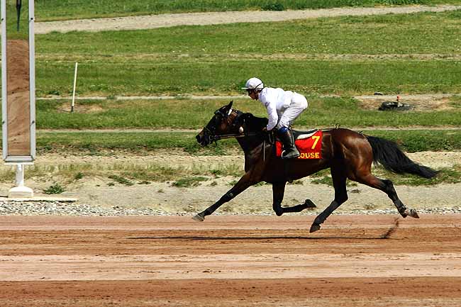 Arrivée quinté pmu PRIX CHERIE FM à TOULOUSE