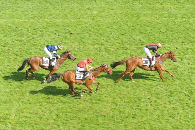 Arrivée quinté pmu PRIX PRETENTAINE à AUTEUIL