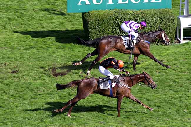 Arrivée quinté pmu PRIX POT D'OR à AUTEUIL