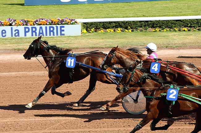 Arrivée quinté pmu PRIX DE LA TOUQUES à CAEN