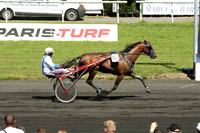 Arrivée quinté pmu PRIX DE LA CAPELLE à LE CROISE-LAROCHE