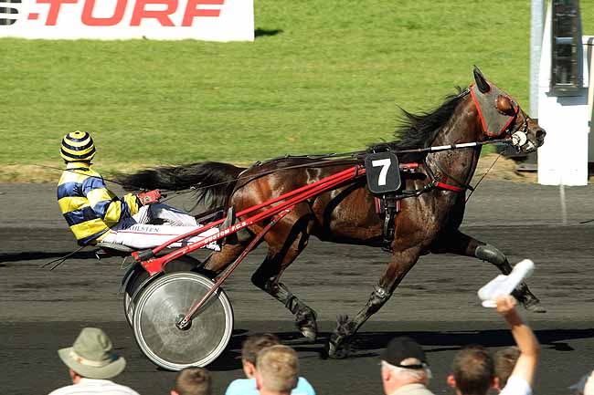 Arrivée quinté pmu PRIX EQWOS.FR / UPECT à LE CROISE-LAROCHE