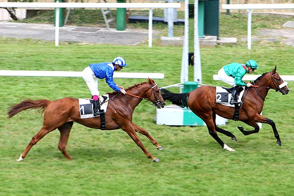Arrivée quinté pmu PRIX MATCHEM à SAINT-CLOUD