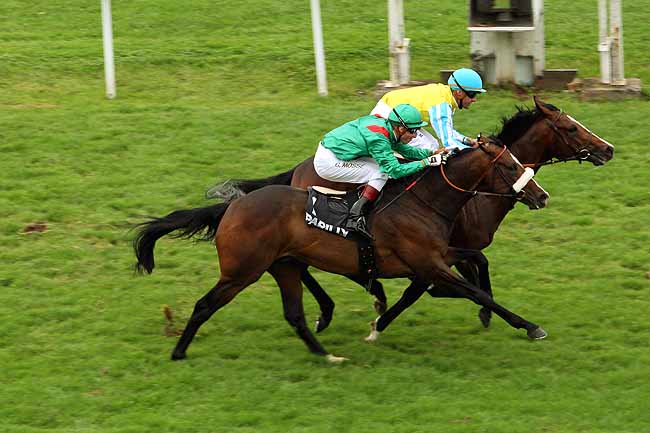 Arrivée quinté pmu PRIX DES POULAINS à LYON-PARILLY