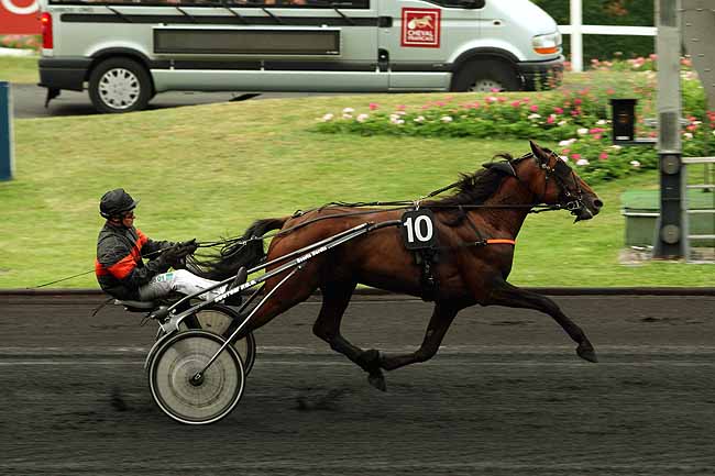 Arrivée quinté pmu PRIX CAECILIA à PARIS-VINCENNES