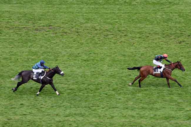 Arrivée quinté pmu PRIX OUISTREHAM à AUTEUIL