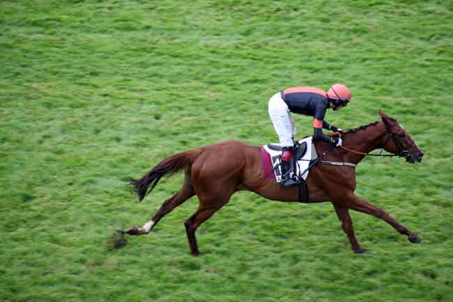 Arrivée quinté pmu PRIX DU VESINET à AUTEUIL