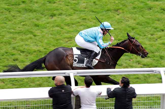 Arrivée quinté pmu PRIX DANIEL LESCALLE à AUTEUIL
