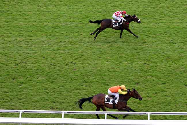 Arrivée quinté pmu PRIX BOIS ROUAUD à AUTEUIL