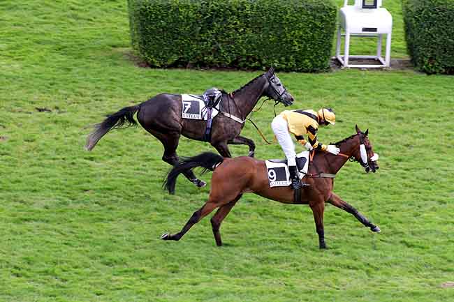 Arrivée quinté pmu PRIX XAVIER DE CHEVIGNY à AUTEUIL