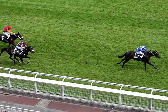 Arrivée quinté pmu PRIX BELLE ISLE à AUTEUIL