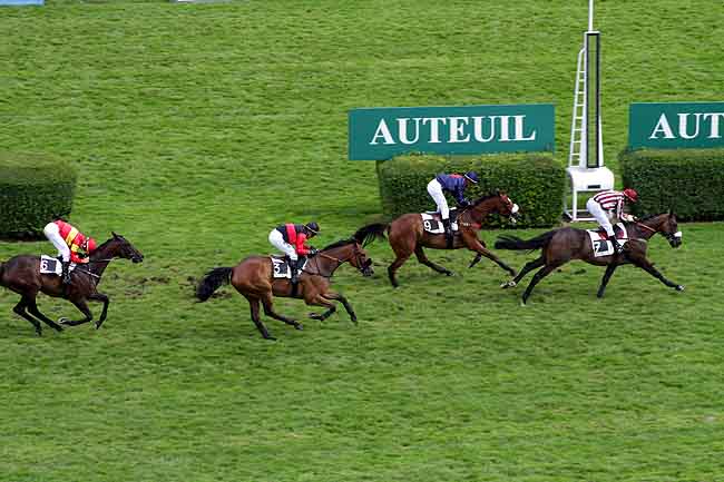 Arrivée quinté pmu PRIX MAURICE DE NEXON à AUTEUIL