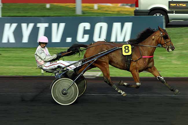 Arrivée quinté pmu PRIX PENELOPE à PARIS-VINCENNES