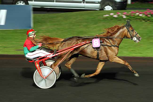 Arrivée quinté pmu PRIX ROSALIA à PARIS-VINCENNES
